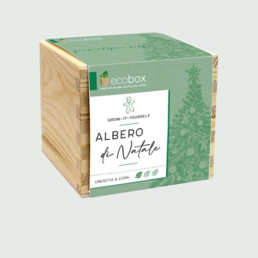 scatola cubica in legno con carta verde contenente semi per far crescaere una piantina da scrivania